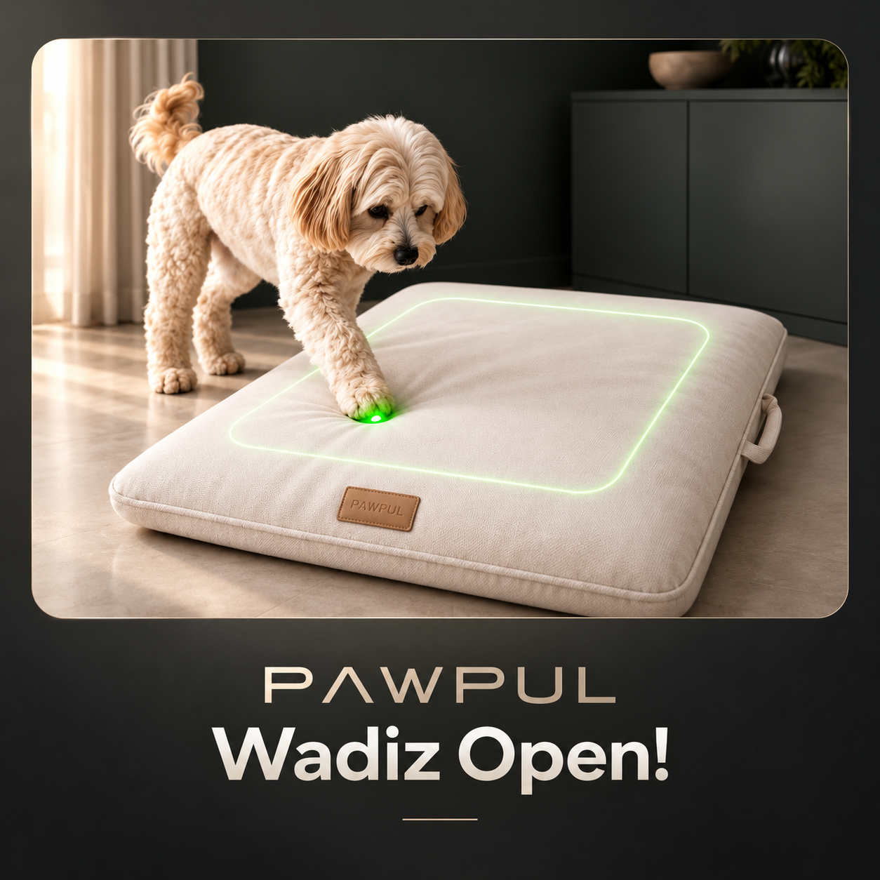 PAWPUL Wadiz Open 안내 이미지